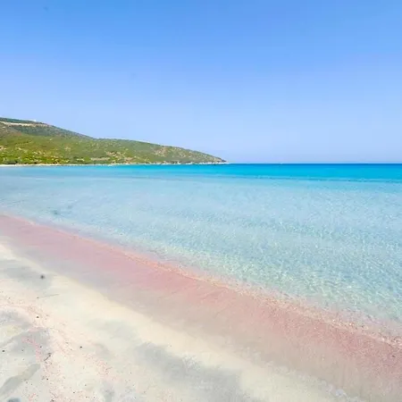 דירה Miky's House טאולאדה